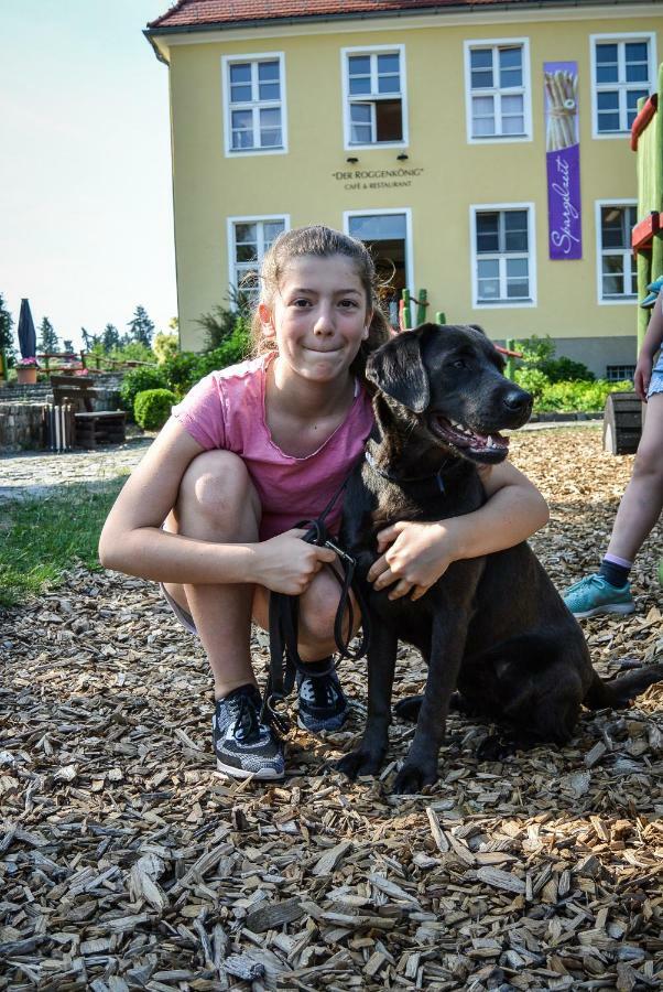 Familien- Und Freizeithotel Gutshaus Petkus Dış mekan fotoğraf